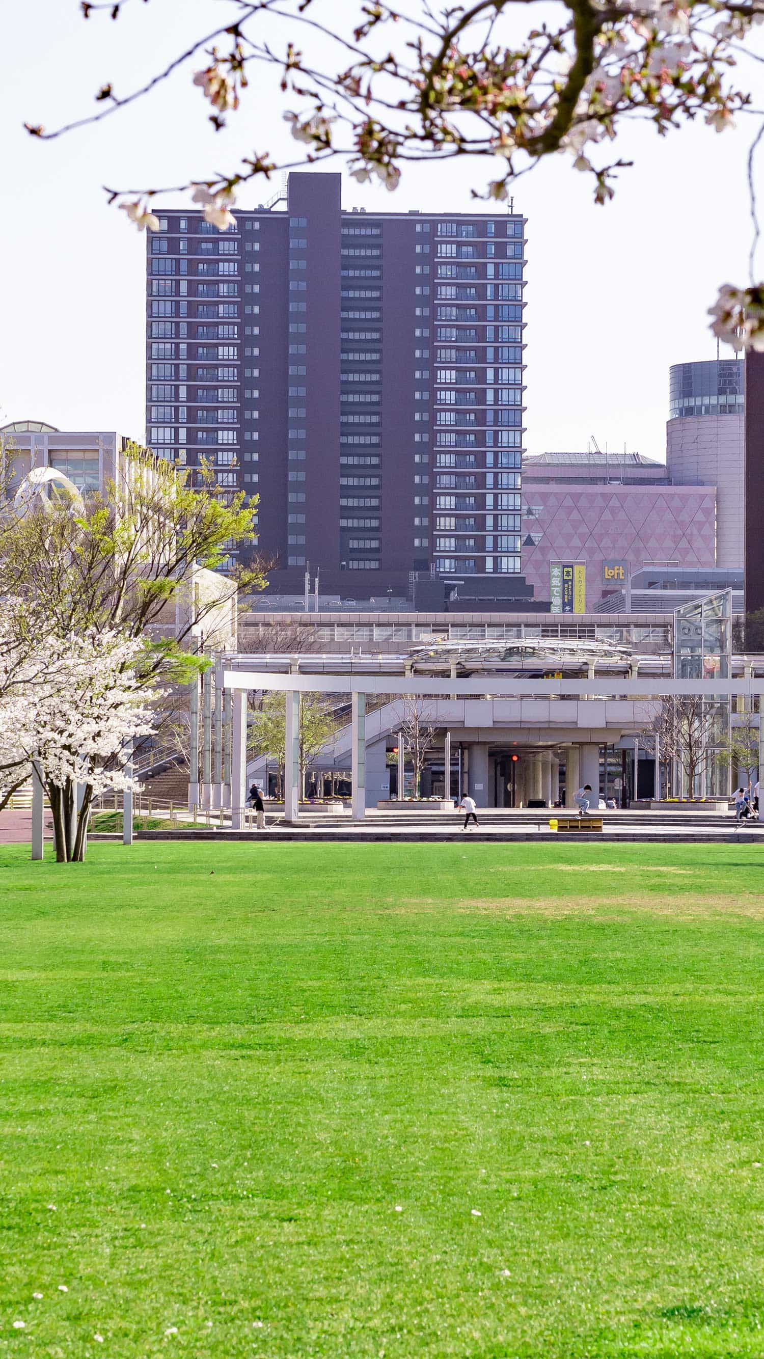 公園